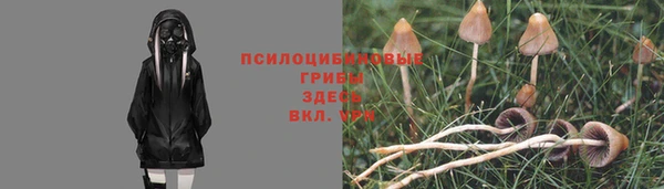 apvp Балабаново