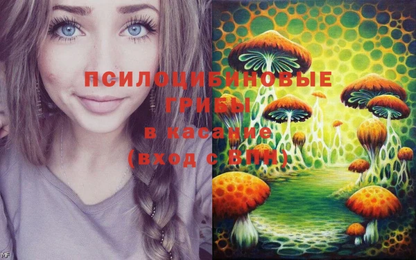 apvp Балабаново