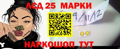 мяу мяу мука Нальчик