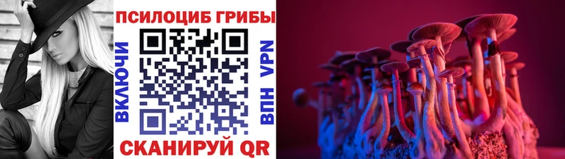 Псилоцибиновые грибы мицелий  закладки  Великий Устюг 