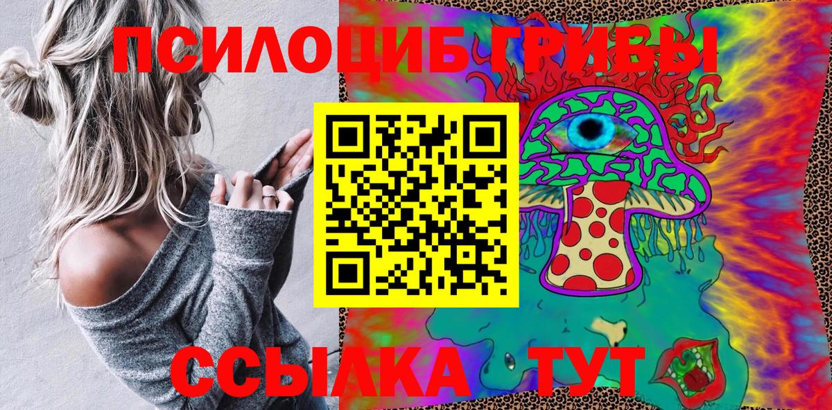 Псилоцибиновые грибы Psilocybine cubensis Великий Устюг