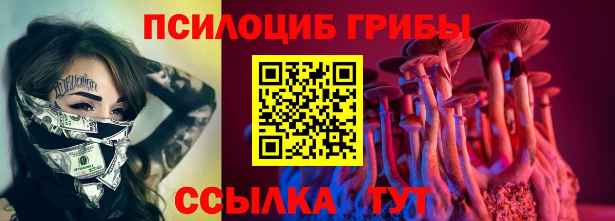 Псилоцибиновые грибы Psilocybe  Вход с VPN  Великий Устюг 