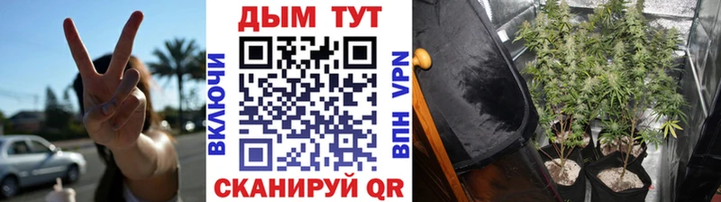 МАРИХУАНА VHQ наркотики Великий Устюг